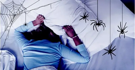 What Does It Mean To Dream Of Spiders: Personal Interpretations